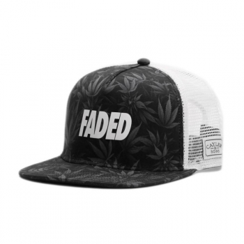 Cayler & Sons Faded Snapback