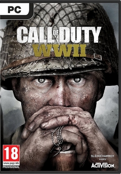 Call of Duty WWII (PC)