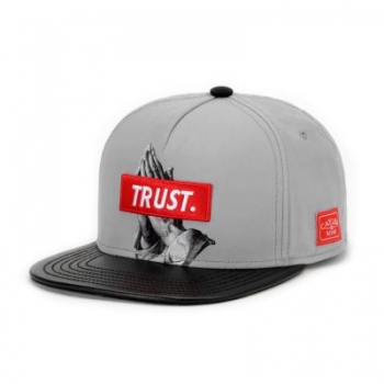 Cayler & Sons Trust Snapback